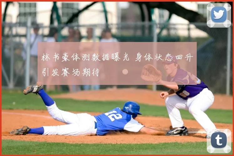 林书豪体测数据曝光 身体状态回升引发赛场期待