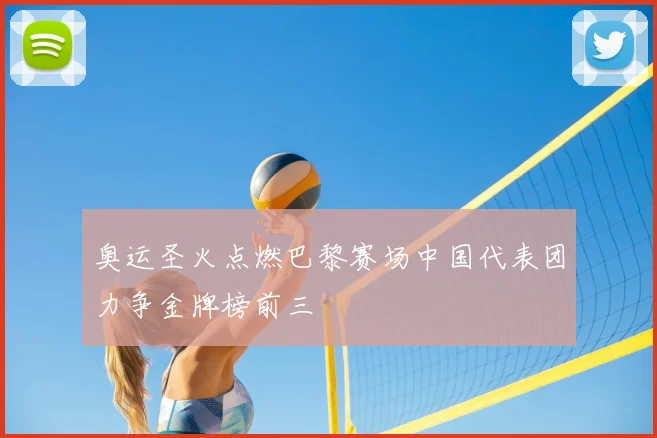 奥运圣火点燃巴黎赛场中国代表团力争金牌榜前三