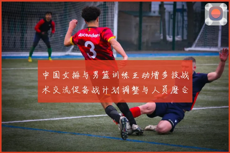 中国女排与男篮训练互动增多技战术交流促备战计划调整与人员磨合