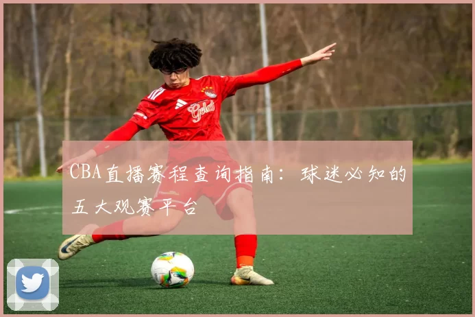 CBA直播赛程查询指南:球迷必知的五大观赛平台